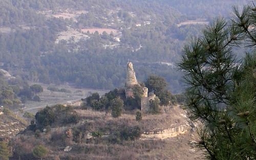 Remains of the castle