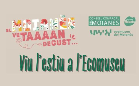 estiu eco web turisme